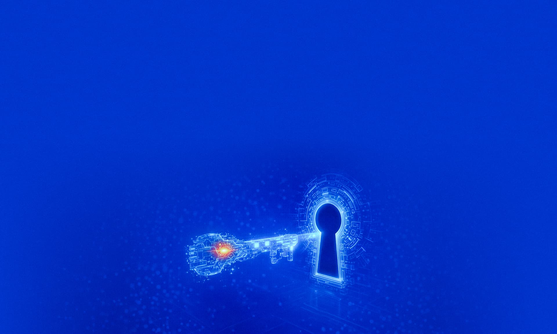 Expert IRDAI ISNP Security Audit Services